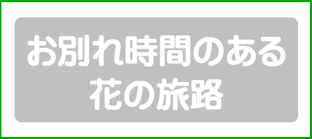 お別れ時間のある花の旅路